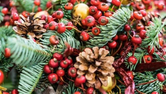 Christmas Flower Show di Ercole Moroni Christmas Flower Show di Ercole Moroni